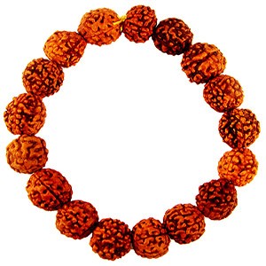 lucky charm Rudraksh bracelet